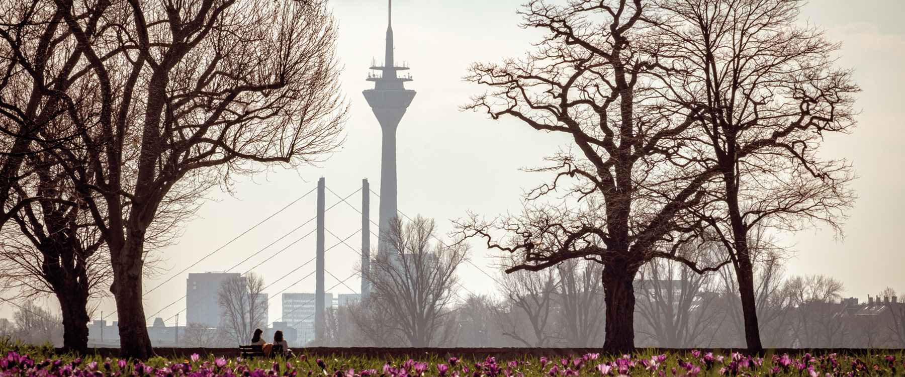 versicherungsmakler-duesseldorf-jost-und-krall-hp-750